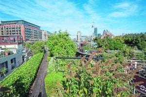 Lush planting at Garden Barge Square, open for the Open Garden Squares Weekend in London on June 18-19. PHOTO: DIANA JARVIS