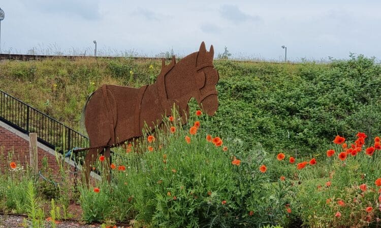 Lichfield canal trust fundraising appeal - metal horse sculpture