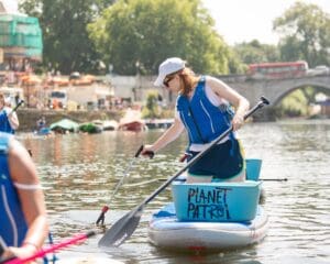 Paddle boarding in Southampton