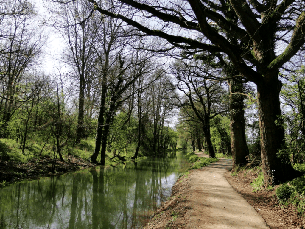 A stretch which has already been restored near Pewsham. PHOTO: ALISON GUY