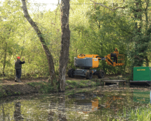 Tree works at Loxwood on the Wey & Arun canal