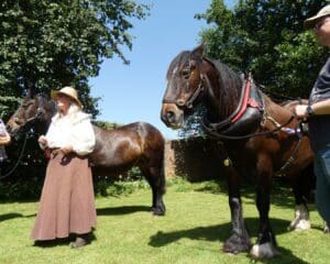 Sue Day giving a demonstration with the boat horses. Photo: Sarah Spencer