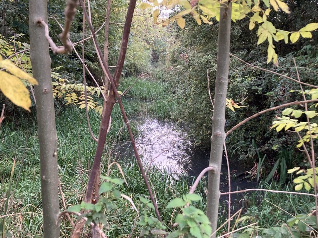 Today: A short water-filled stretch of the canal in Oakham comes to an abrupt end