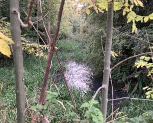 Today: A short water-filled stretch of the canal in Oakham comes to an abrupt end