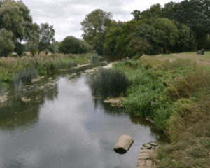 The site of the landing stage at Kempston Mill