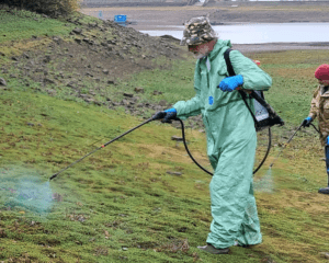 Volunteers from the Angling Trust and Prince Albert Angling Society join the Canal & River Trust mission to reduce invasive New Zealand pygmy weed at Bosley Reservoir.