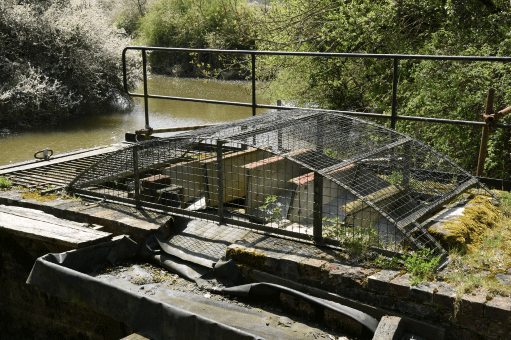 Lordings Waterwheel in previous times.