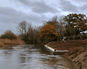 The new landing stage on the River Great Ouse near Bedford. PHOTO: LAND & WATER