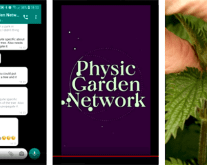 Idle women and psychic garden