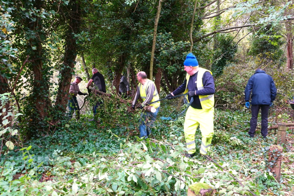 BCRS volunteers removing one of the trees