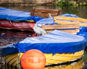 Three Boats and a Buoy Nicola Holden