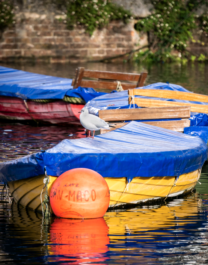 Three Boats and a Buoy Nicola Holden