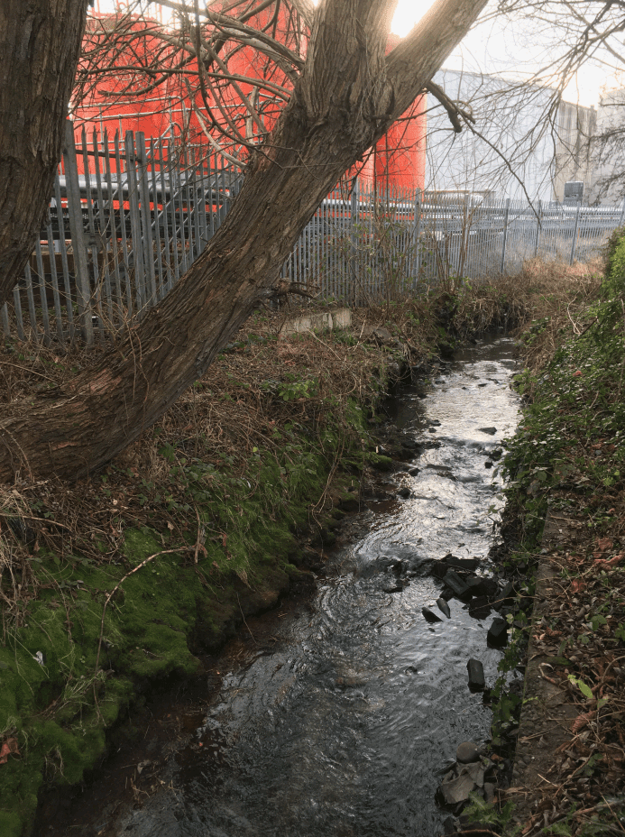 Wash Dike close to where it enters the Aire & Calder Navigation below Ferrybridge Flood Lock.