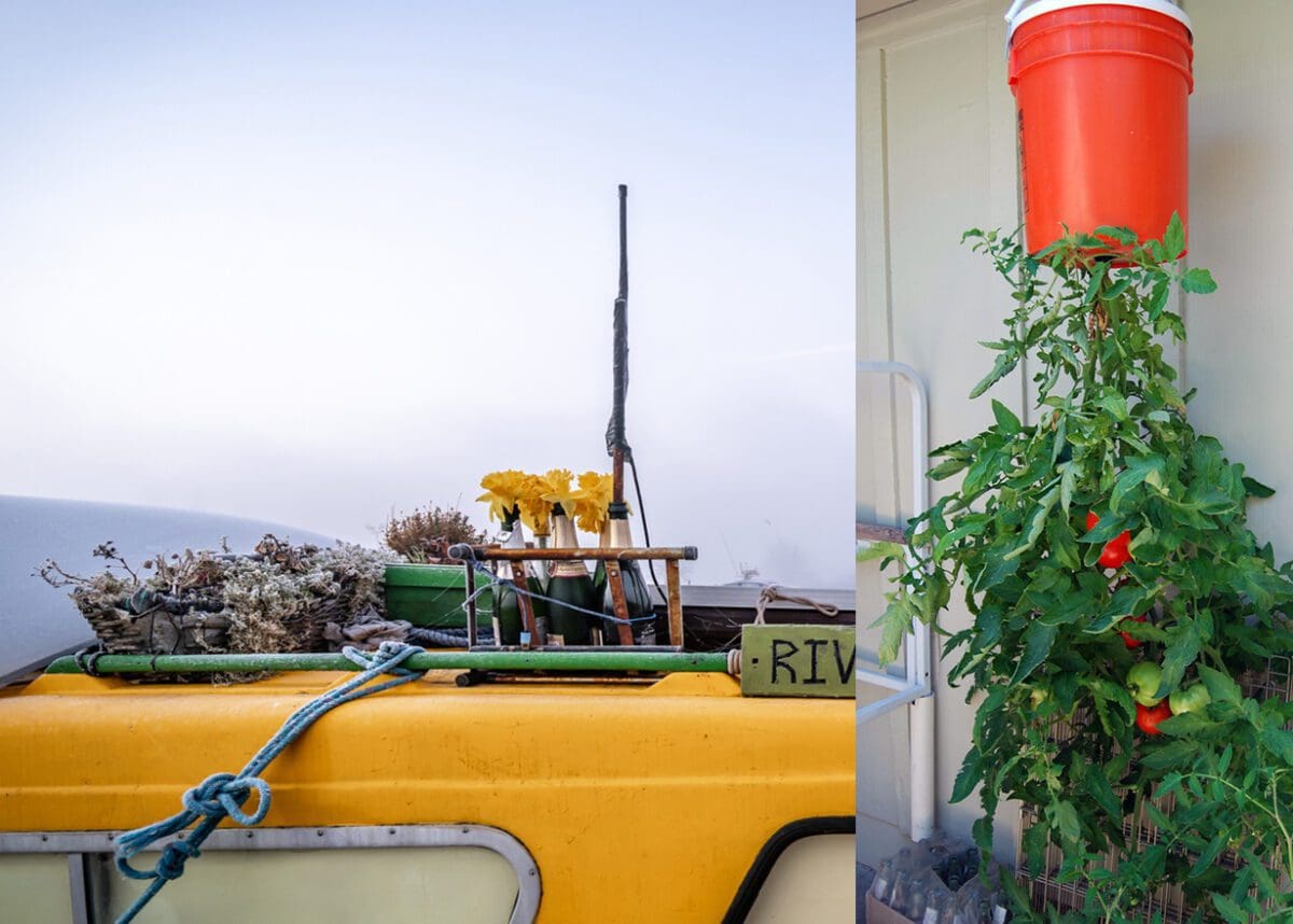 Ben Vanheem offers more inspiration for great hanging pots and containers to grow fruit and veg.