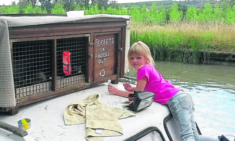 ‘Ferrets in fingers out’ brings a smile to the faces of passers-by. Richard’s daughter Izzy is helping to repaint the sign. PHOTOS: RICHARD JONES