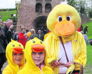 Mother Duck and her ducklings.