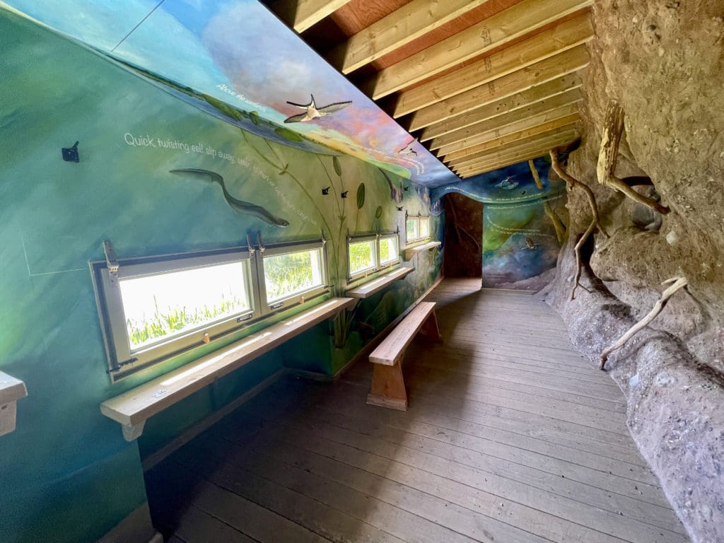 Inside the otter holt hide at Aston Locks nature reserve