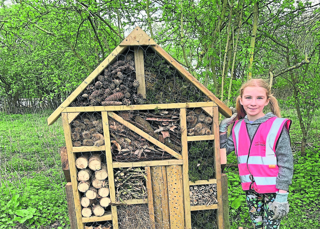 A young volunteer with the bug hotel at Lock 10. PHOTO: IWA