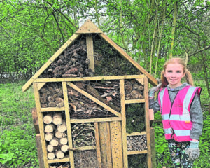 A young volunteer with the bug hotel at Lock 10. PHOTO: IWA