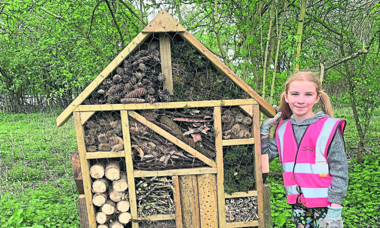 A young volunteer with the bug hotel at Lock 10. PHOTO: IWA