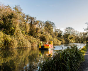 Chichester Canal, by David Standley