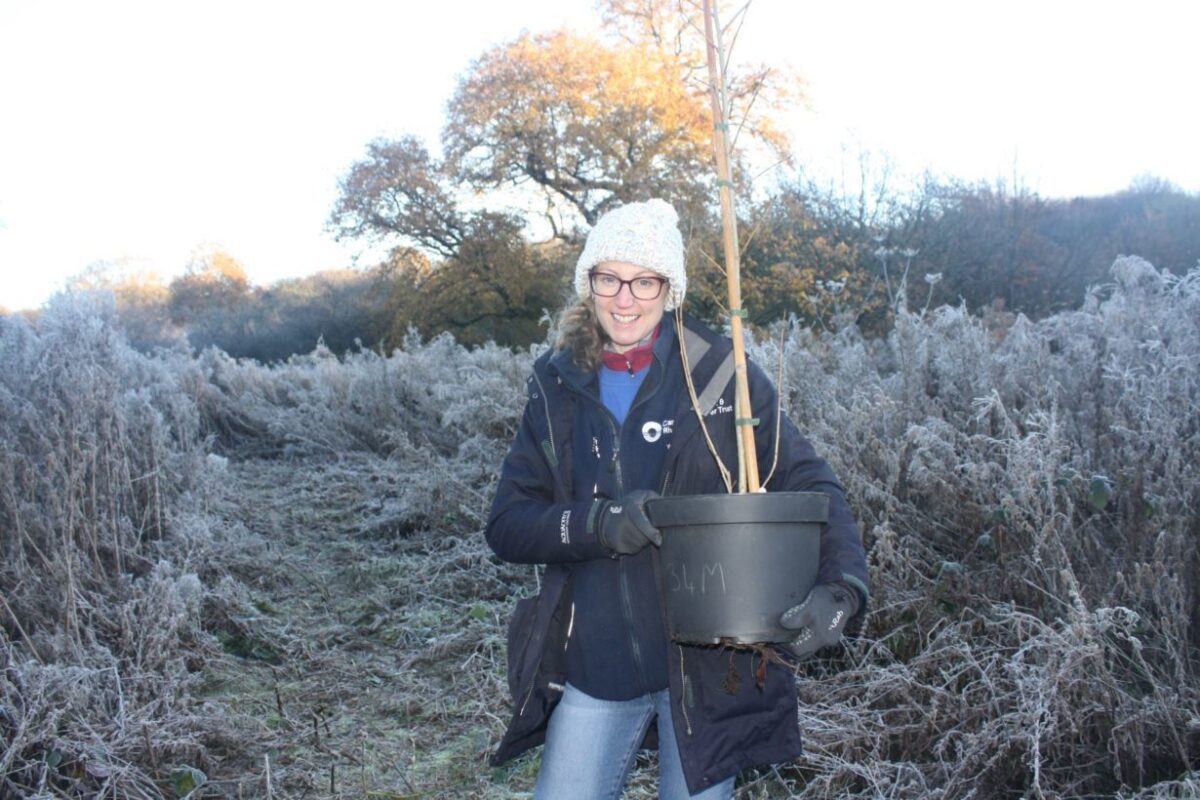 Canal charity and Chester zoo join forces to save rare trees | Towpath Talk