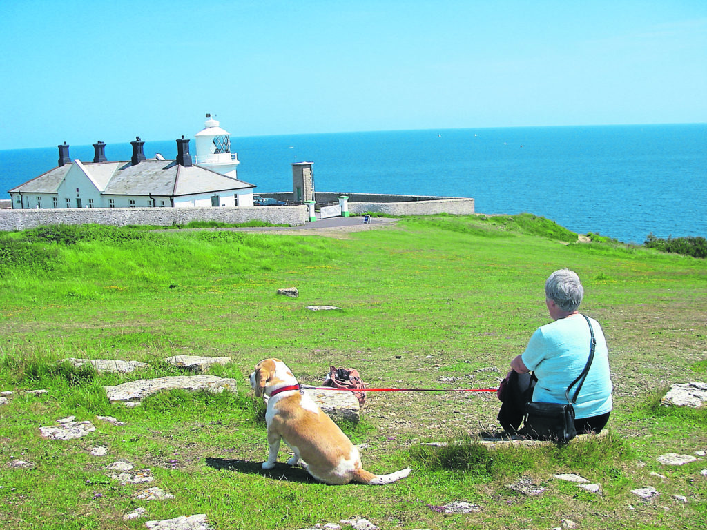 Looking out to sea at Anvil Point