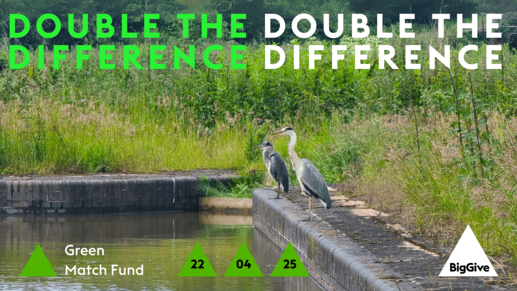 Big Give 2025 Double the difference