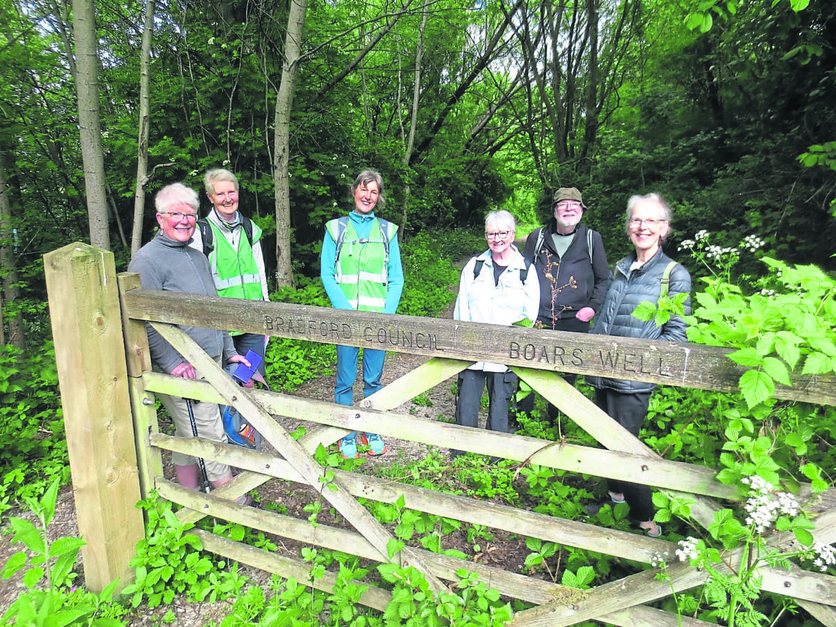 GUIDED WALKS unveil hidden treasures | Towpath Talk