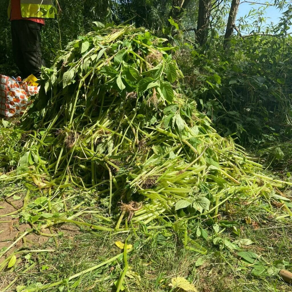 The product of a hard day’s work in Lincolnshire. PHOTO: EMRT.