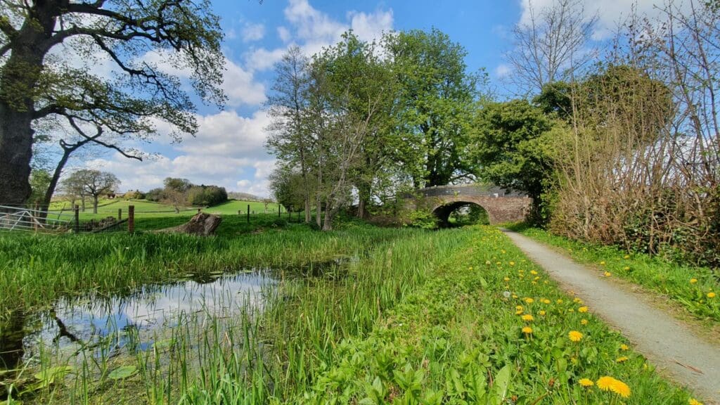 The Montgomery Canal, near Arddleen.